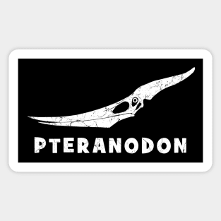 Pteranodon fossil skull Sticker